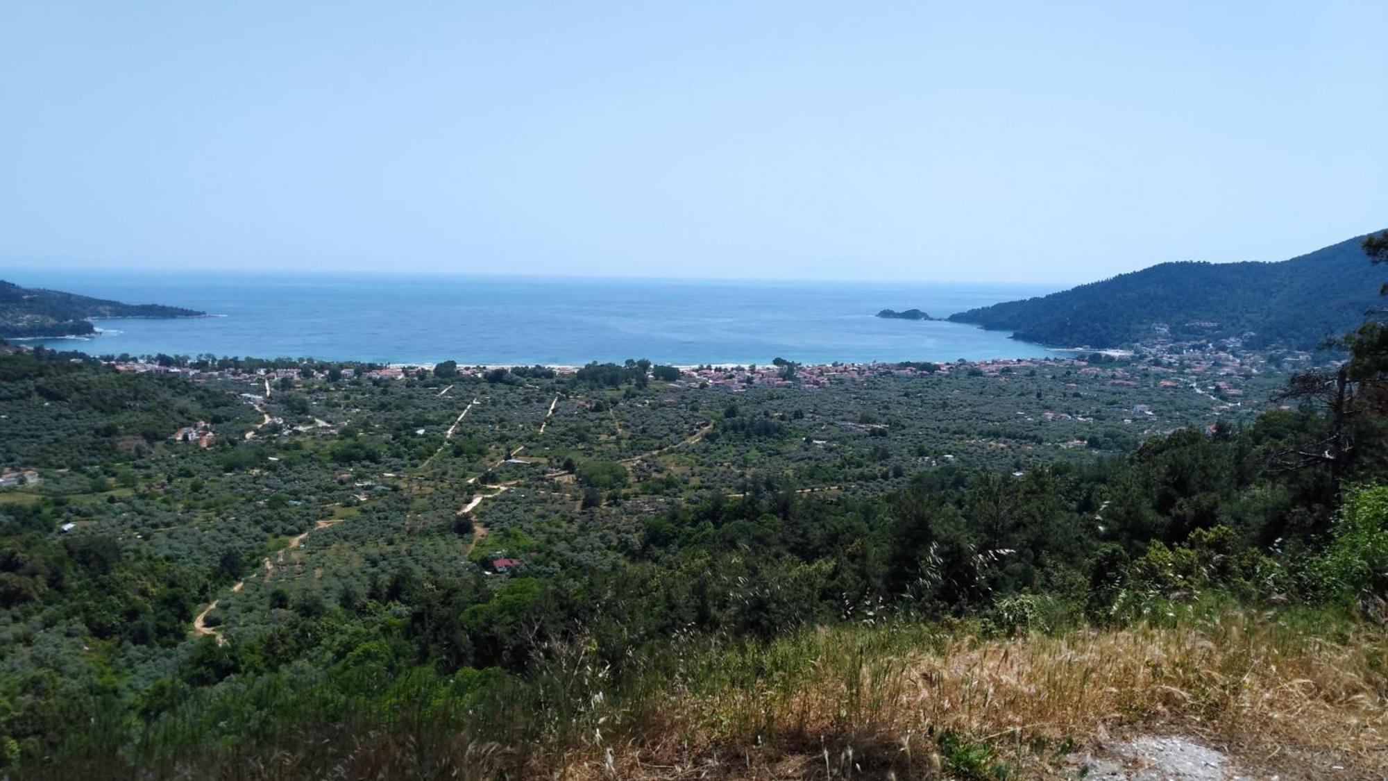 Harmony Studios & Apartments Skala Potamia (Thasos) Exterior foto